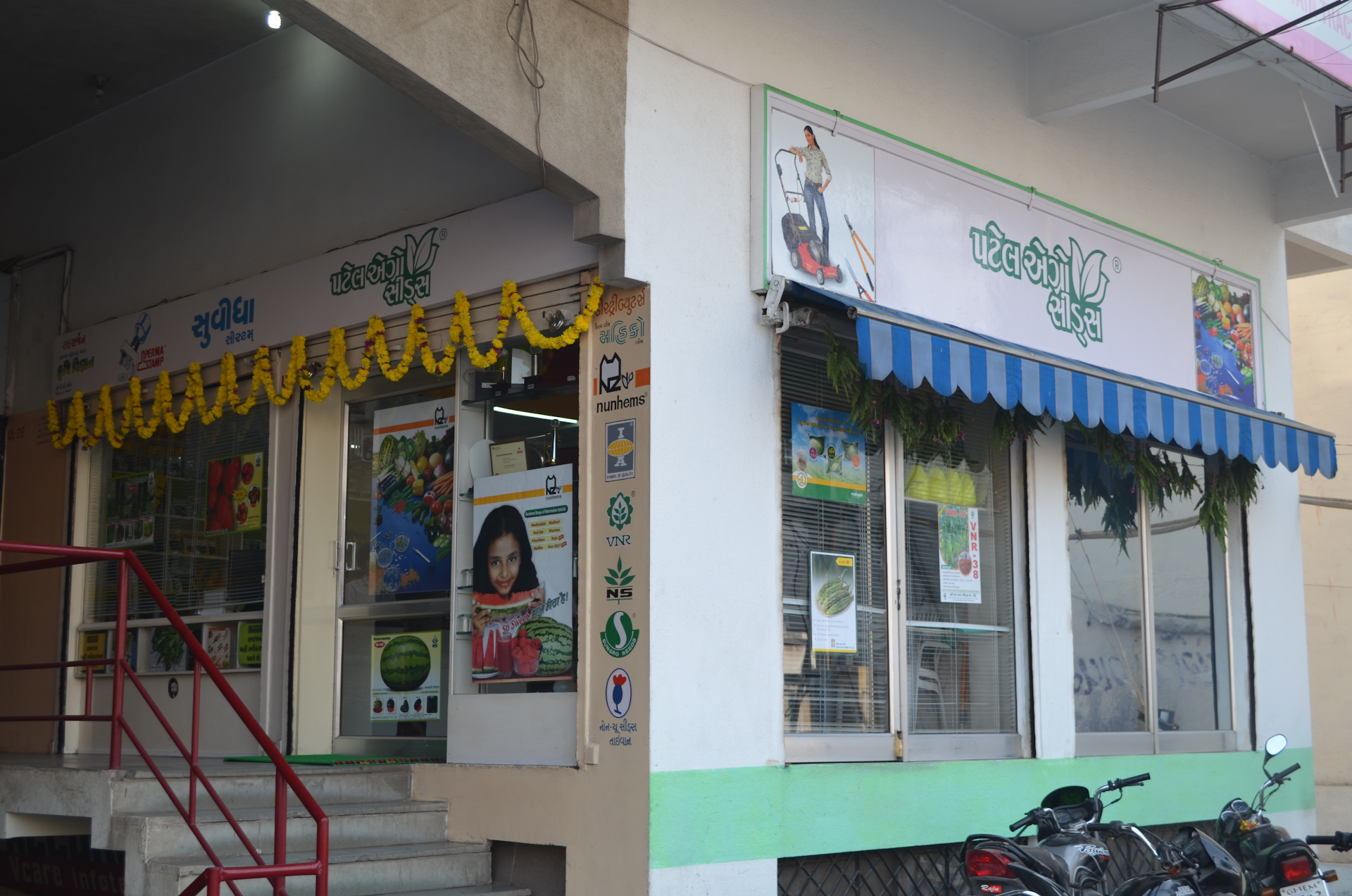 patelagroseeds